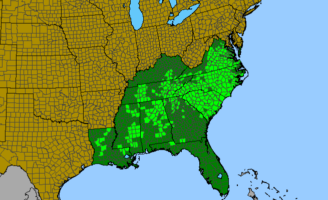 The range of Helianthus atrorubens